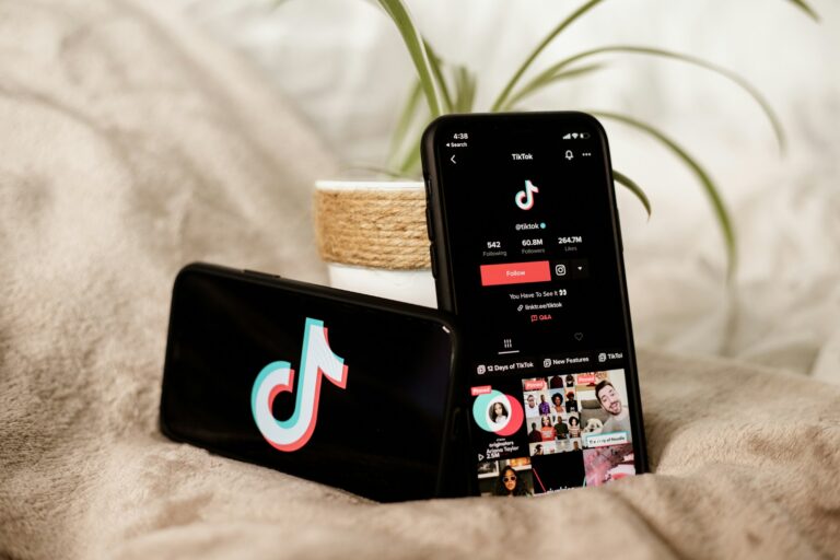 Leveraging TikTok for Business: A Guide for Small Businesses